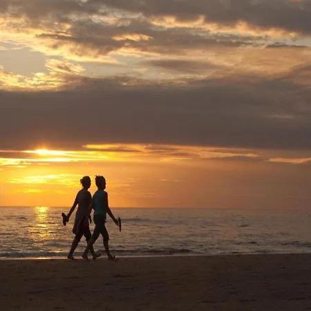 In Near The * Noordwijk