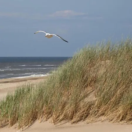 In Near The Noordwijk