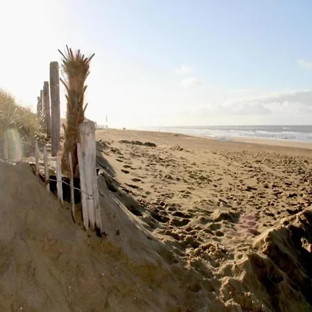 In Near The Tatil Evi Noordwijk