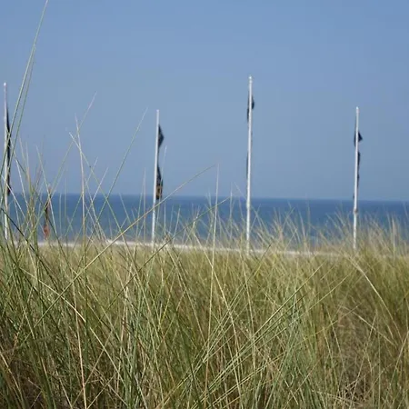 In Near The Tatil Evi *