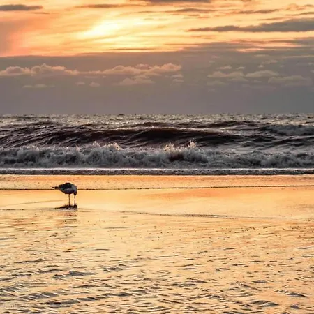 Holiday home In Near The