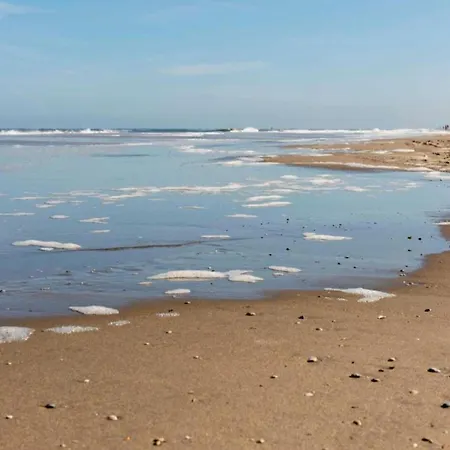 Tatil Evi In Near The *