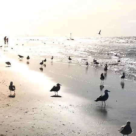 Tatil Evi In Near The *