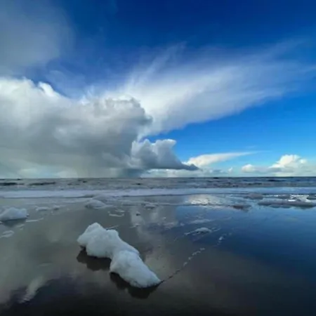 Tatil Evi In Near The Noordwijk