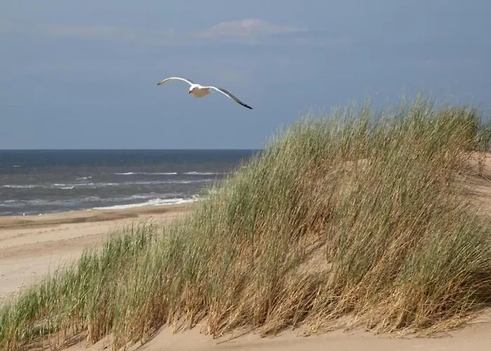 In Near The Noordwijk