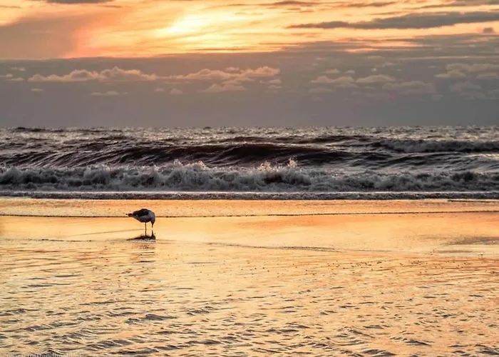 Feriehus In Near The