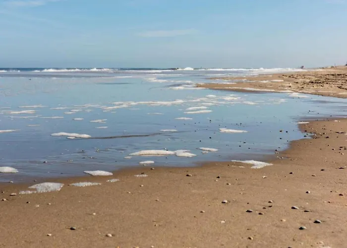 別荘 In Near The *