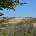 In Near The