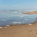 بيت للعطل In Near The *