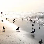 بيت للعطل In Near The *