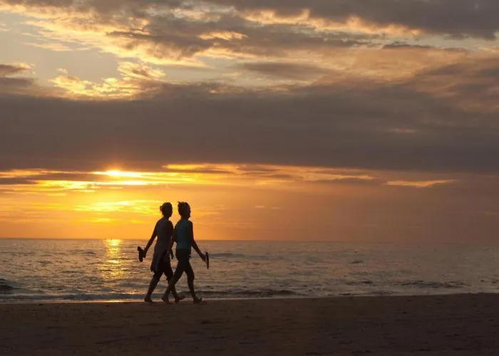 In Near The * Noordwijk