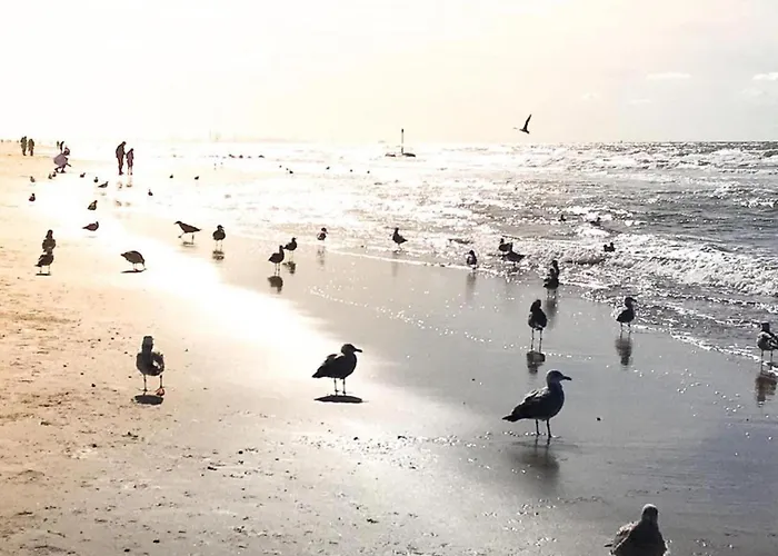 Holiday home In Near The *